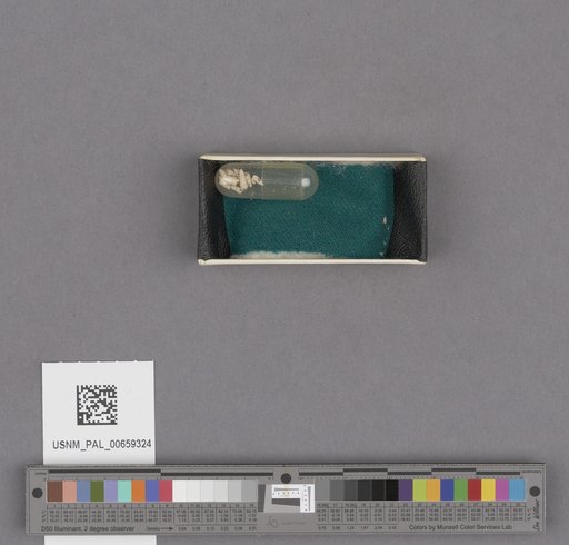 NSF ADBC EPICC TCN