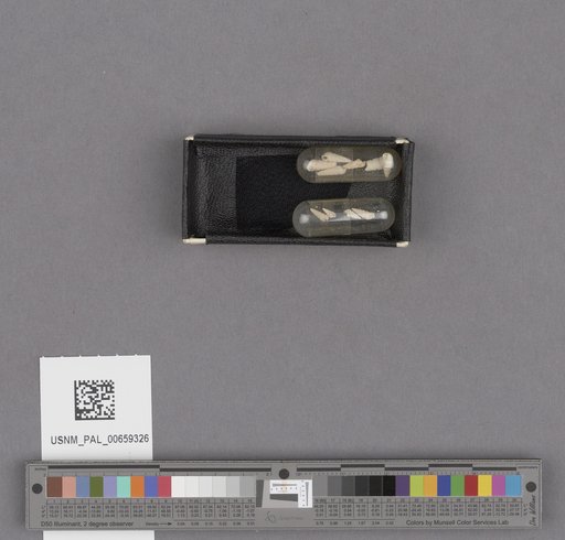 NSF ADBC EPICC TCN