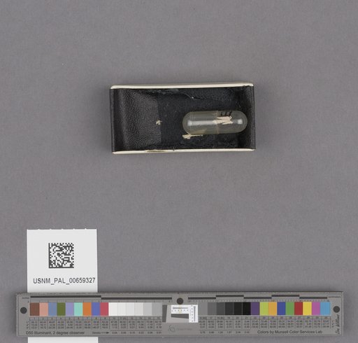 NSF ADBC EPICC TCN