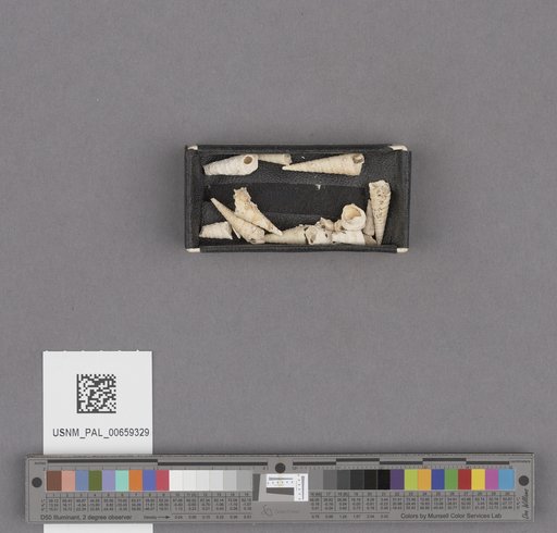 NSF ADBC EPICC TCN