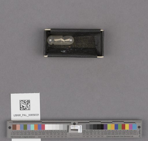 NSF ADBC EPICC TCN