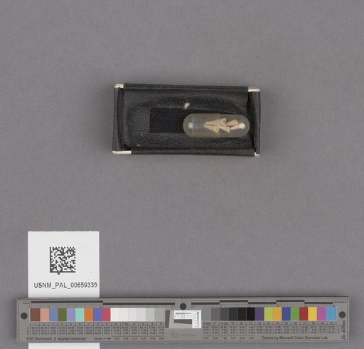 NSF ADBC EPICC TCN
