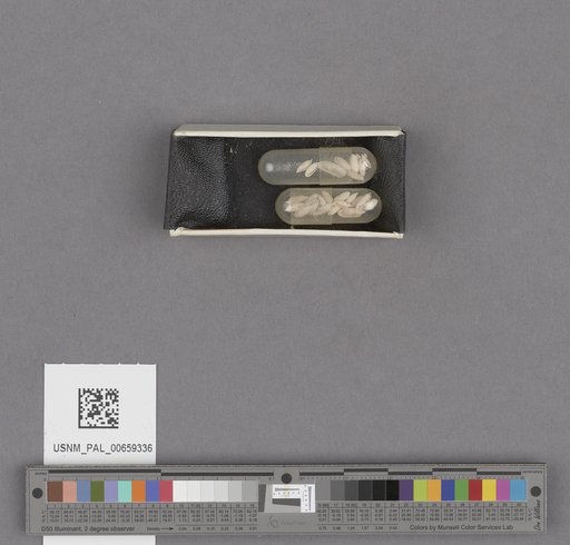 NSF ADBC EPICC TCN