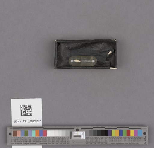 NSF ADBC EPICC TCN