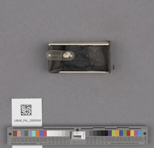 NSF ADBC EPICC TCN