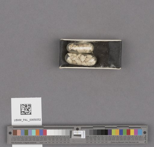 NSF ADBC EPICC TCN