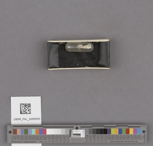 NSF ADBC EPICC TCN