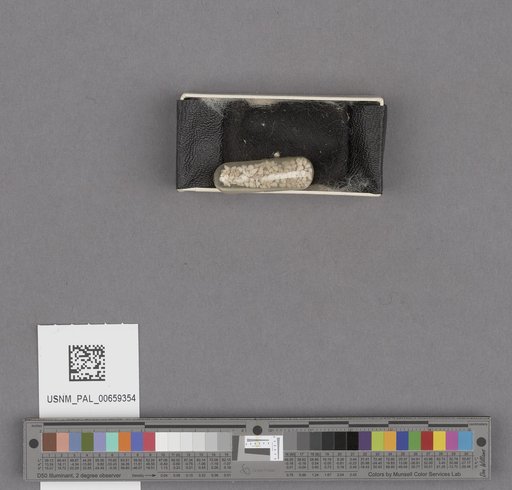 NSF ADBC EPICC TCN