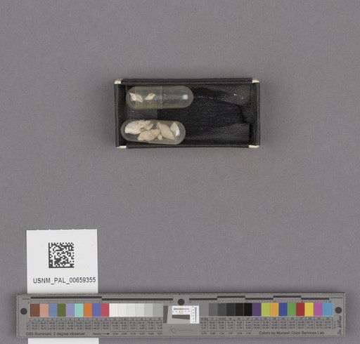 NSF ADBC EPICC TCN