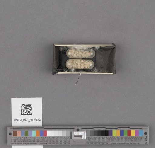 NSF ADBC EPICC TCN