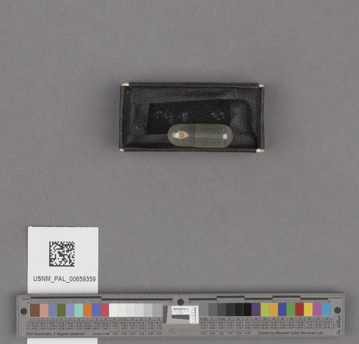 NSF ADBC EPICC TCN