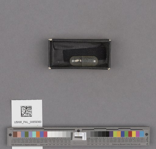 NSF ADBC EPICC TCN