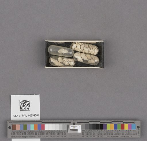 NSF ADBC EPICC TCN