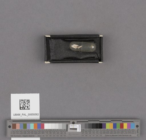 NSF ADBC EPICC TCN