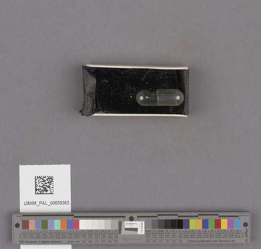NSF ADBC EPICC TCN