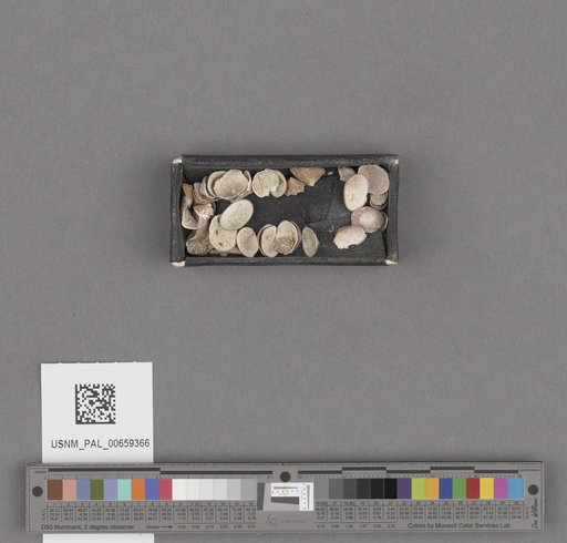 NSF ADBC EPICC TCN