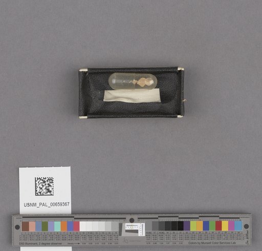 NSF ADBC EPICC TCN