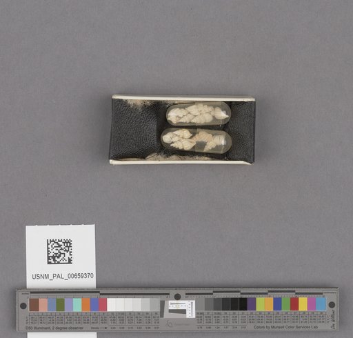 NSF ADBC EPICC TCN