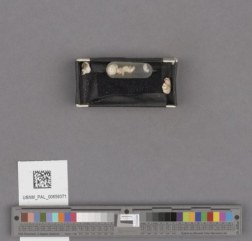 NSF ADBC EPICC TCN