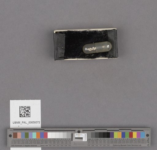 NSF ADBC EPICC TCN