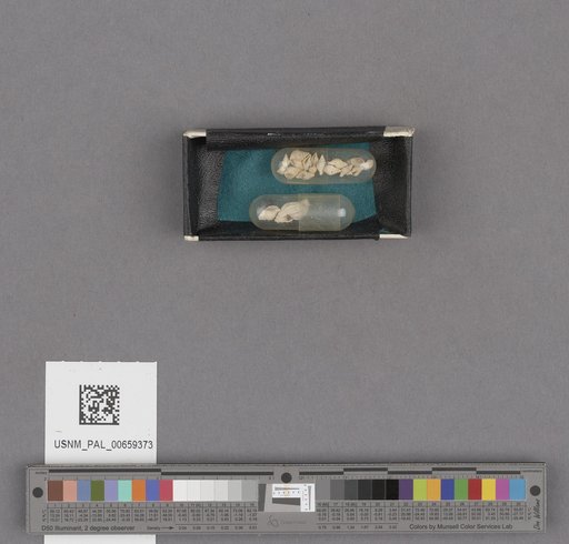 NSF ADBC EPICC TCN