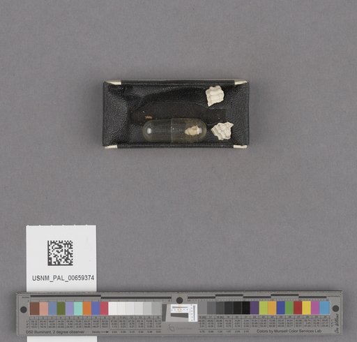 NSF ADBC EPICC TCN