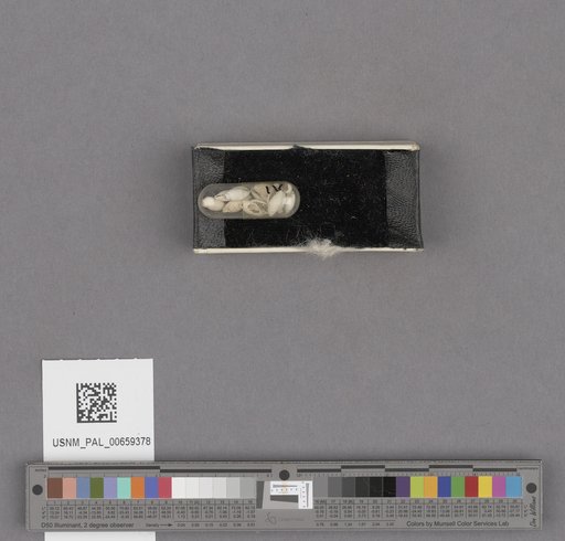 NSF ADBC EPICC TCN