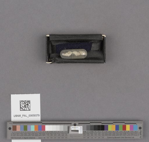 NSF ADBC EPICC TCN