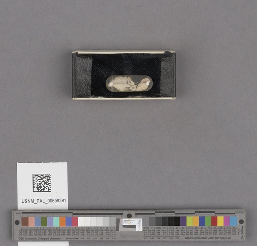 NSF ADBC EPICC TCN