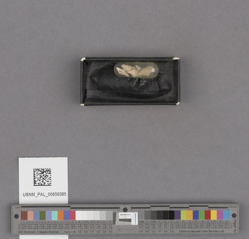 NSF ADBC EPICC TCN