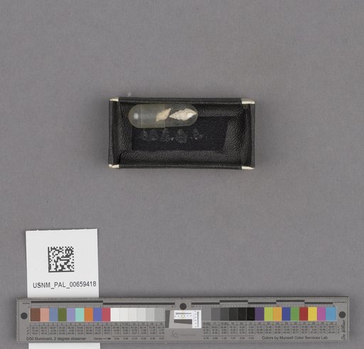 NSF ADBC EPICC TCN