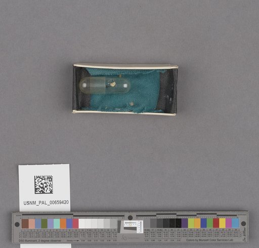 NSF ADBC EPICC TCN