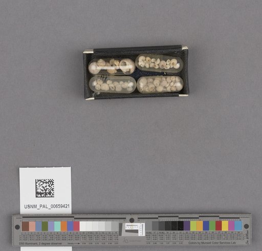 NSF ADBC EPICC TCN