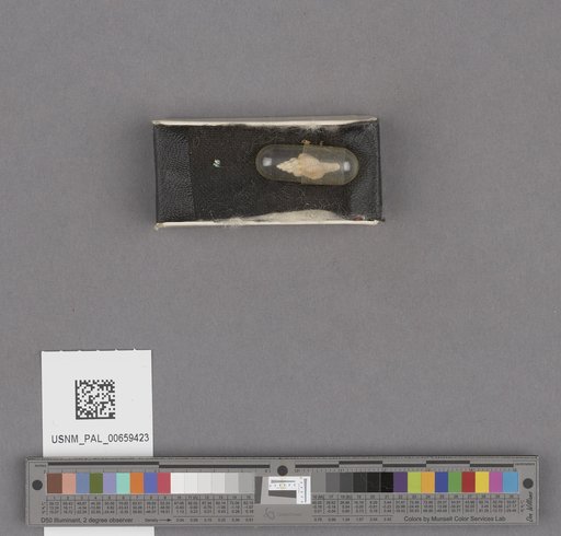 NSF ADBC EPICC TCN