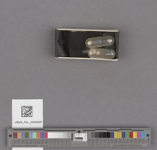 NSF ADBC EPICC TCN