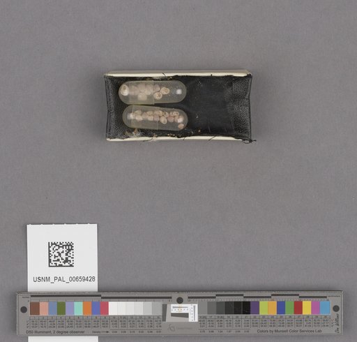 NSF ADBC EPICC TCN