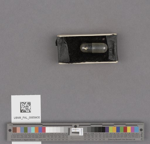 NSF ADBC EPICC TCN