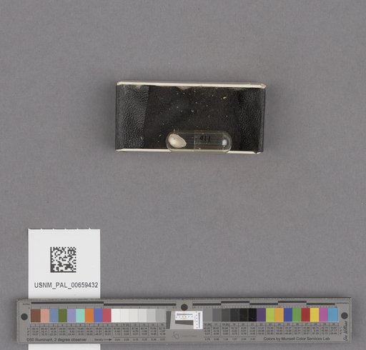 NSF ADBC EPICC TCN