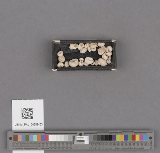 NSF ADBC EPICC TCN