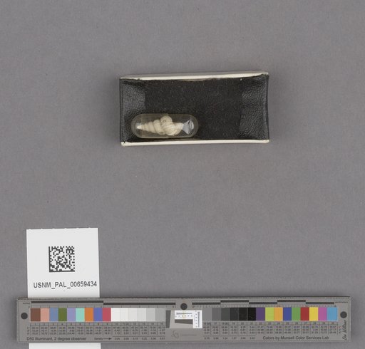 NSF ADBC EPICC TCN