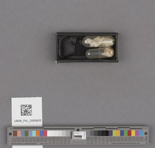 NSF ADBC EPICC TCN