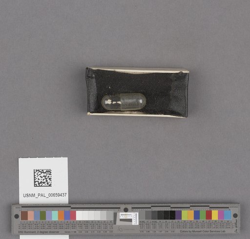 NSF ADBC EPICC TCN