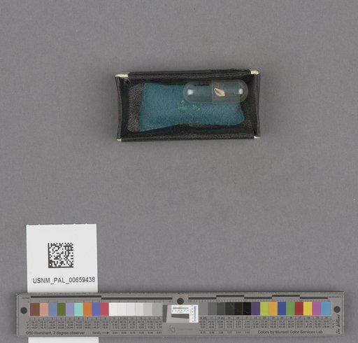NSF ADBC EPICC TCN