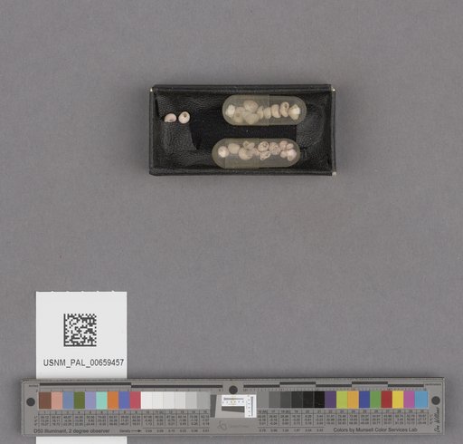 NSF ADBC EPICC TCN