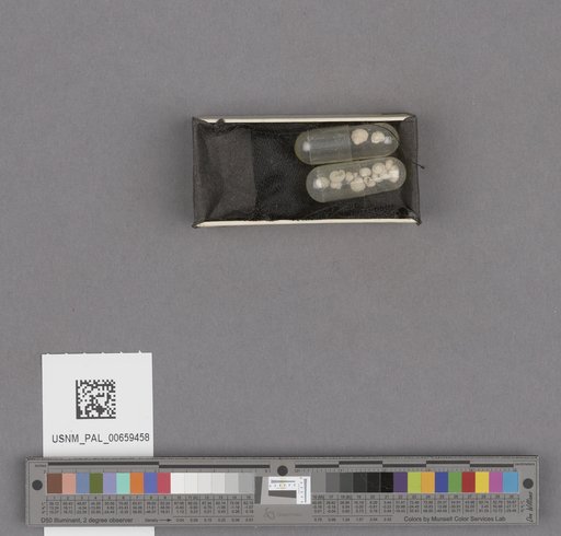 NSF ADBC EPICC TCN