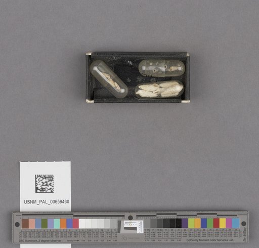 NSF ADBC EPICC TCN