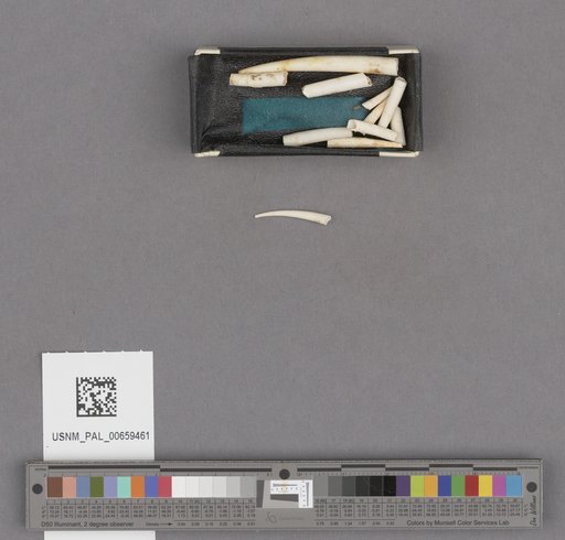 NSF ADBC EPICC TCN