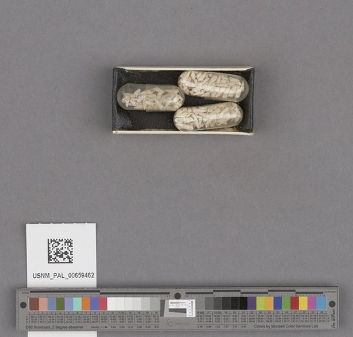 NSF ADBC EPICC TCN