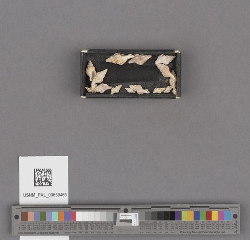 NSF ADBC EPICC TCN
