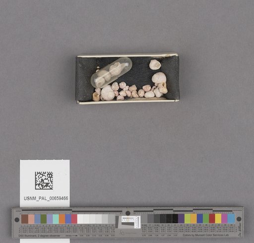NSF ADBC EPICC TCN
